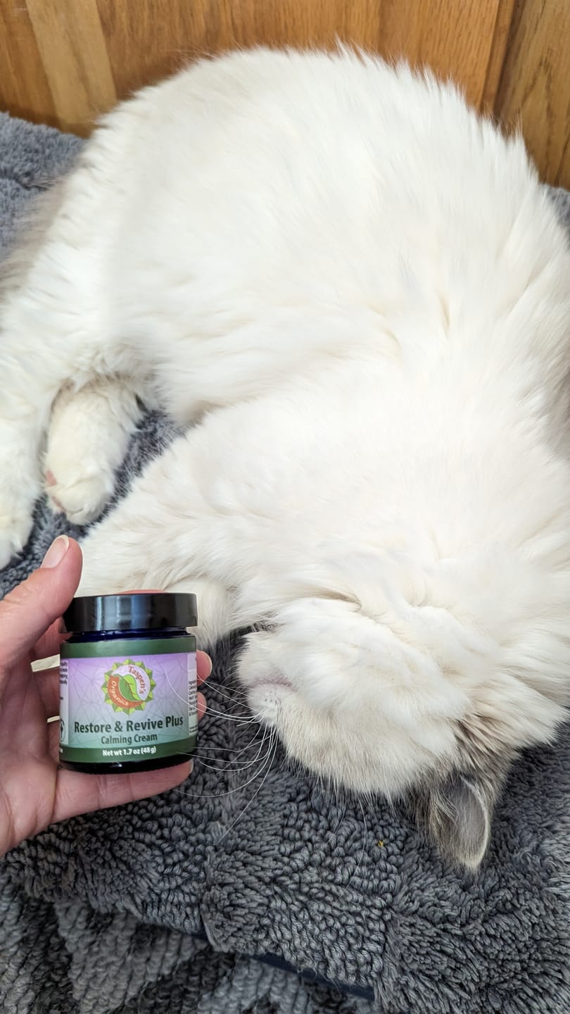 Customer photo review of Magnesium No More Aches Cooling Relief Cream