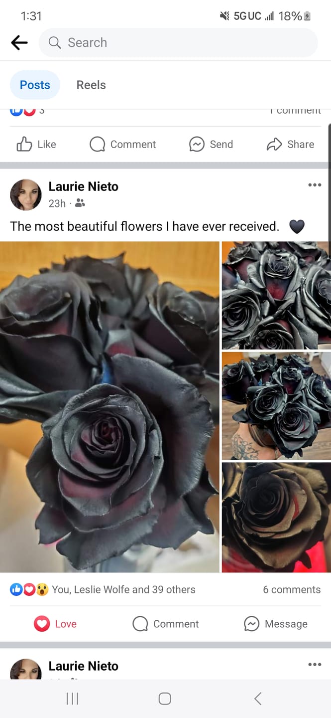 Customer photo review of Black Roses