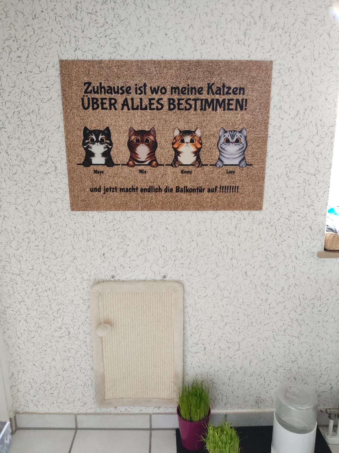 Customer photo review of Willkommen bei neugierigen Katzen - Individuelle Fußmatte