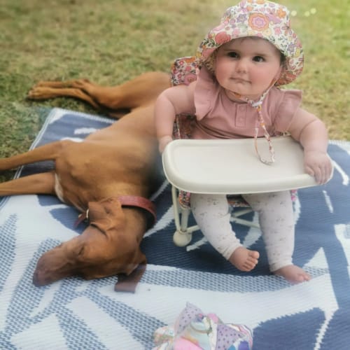 Customer photo review of Paloma baby chair v2