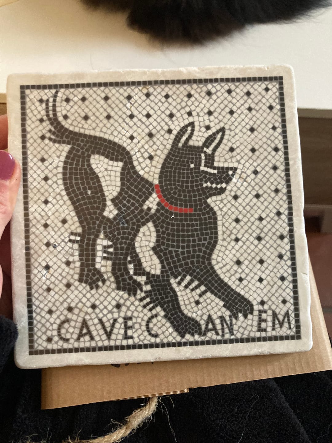 Customer photo review of Cave Canem mosaico di Pompei - mattonella in marmo