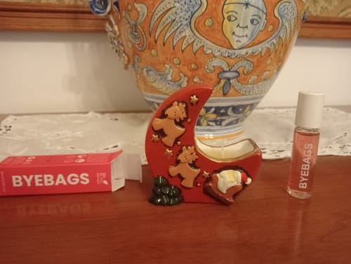 Customer photo review of ByeBags