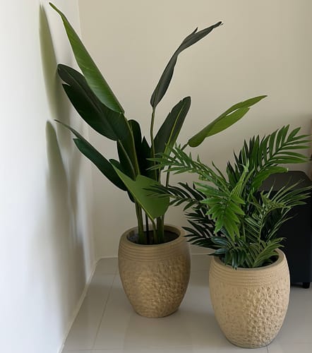 Customer photo review of Areca Palm Artificial Plant 70CM Height (Pot not included)