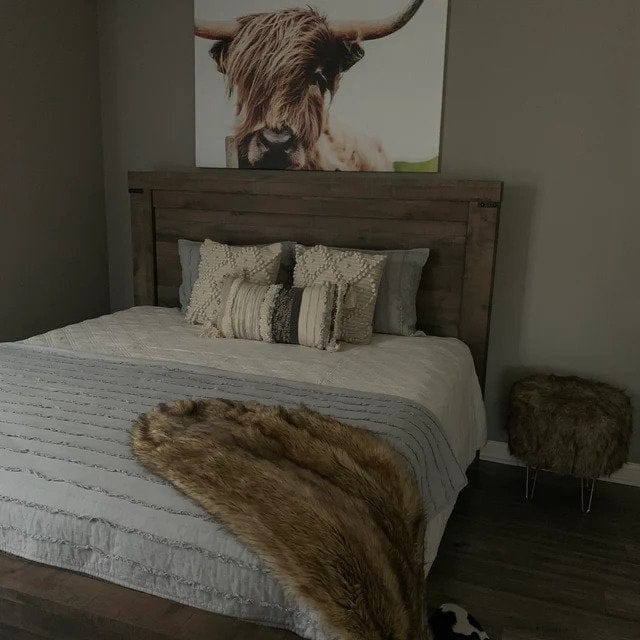 Customer photo review of Highland Cow №04123 Ready to Hang Canvas Print
