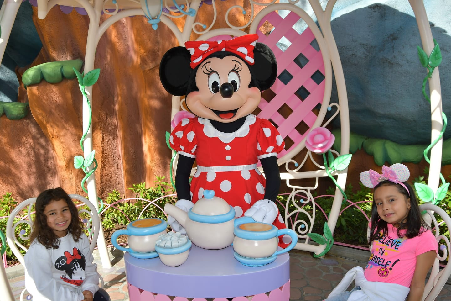 Customer photo review of Pink Crown Mickey Ears