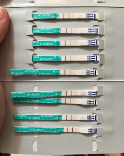 Customer photo review of Ovulation Test Strips