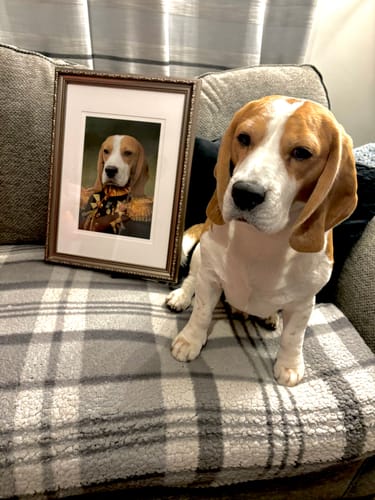 Customer photo review of The General - Custom Vintage Pet Portrait
