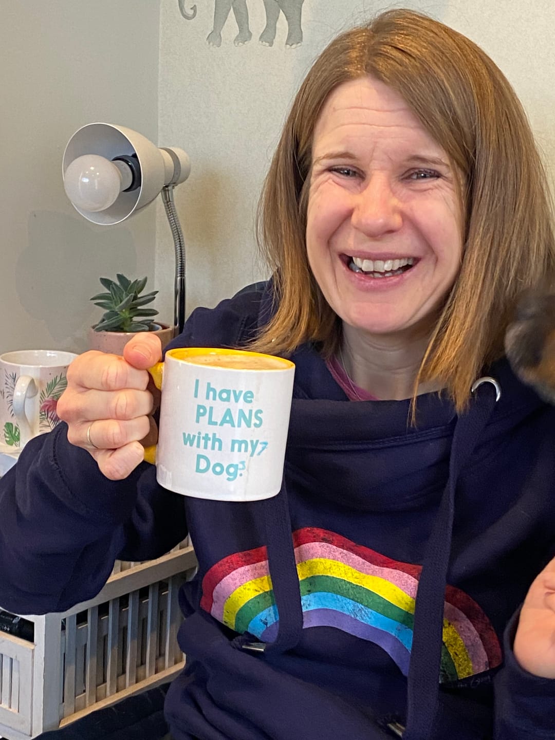 Customer photo review of Distressed Navy Rainbow Cowl Neck Hoodie