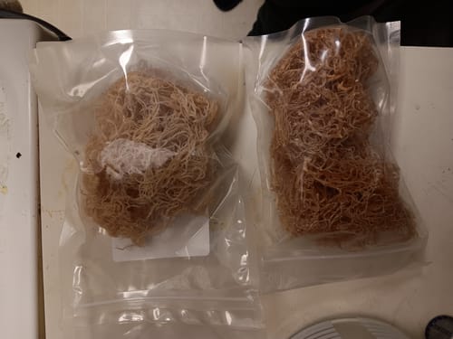 Customer photo review of PREMIUM GOLD WILDCRAFTED SEA MOSS (SUPER BUNDLE)