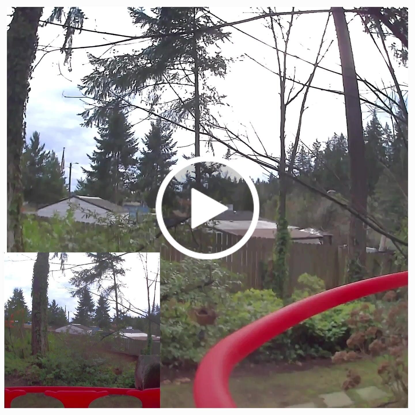 Customer video review of Birdfy Hum Feeder - Hummingbird Feeder with Dual Camera