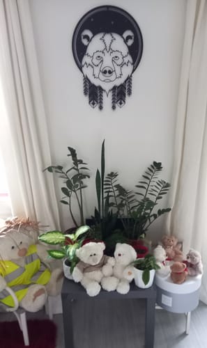 Customer photo review of Ours