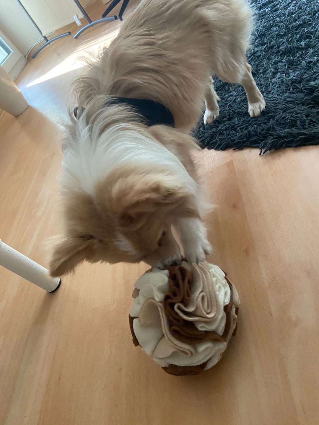 Customer photo review of Emmalove - Schnüffelball