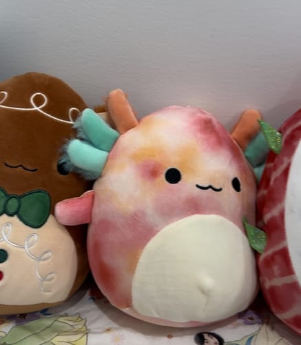 Customer photo review of Squishmallows Original 18cm
