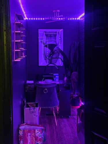 Customer photo review of Love's A Loaded Gun Poster