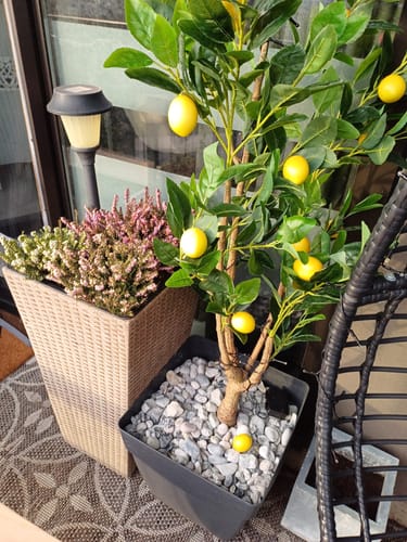 Customer photo review of Kunst Citroenboom 130cm