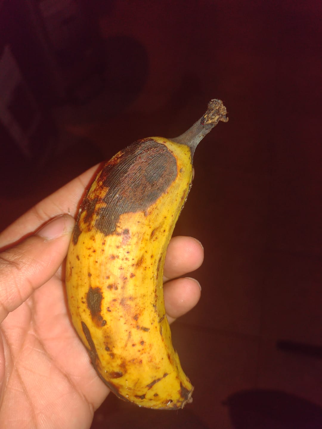 Customer photo review of Banana Variety Box