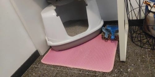 Customer photo review of Cat Litter Mat