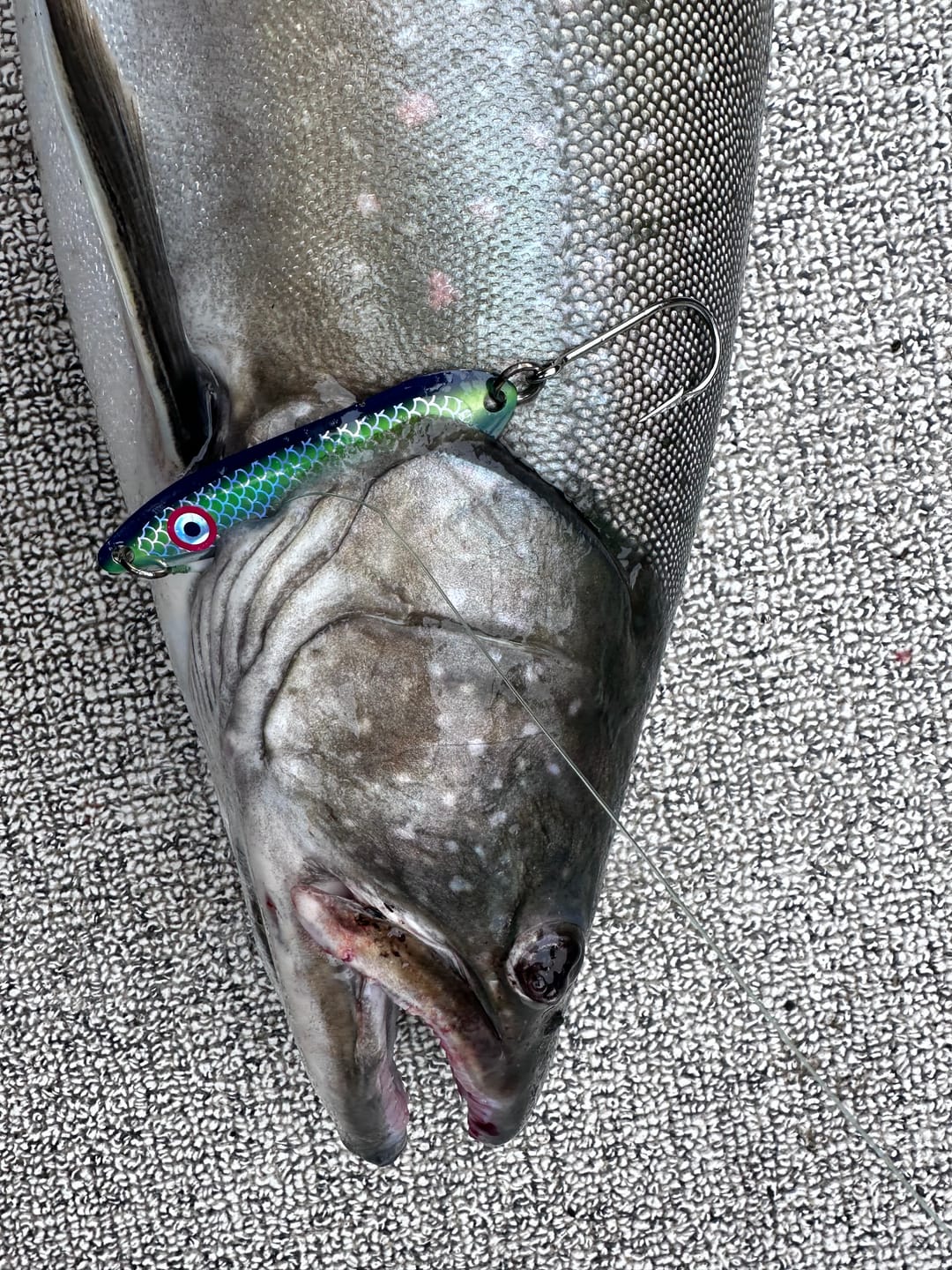 Customer photo review of Big Eye Spoon