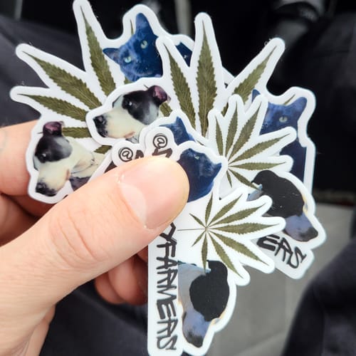 Customer photo review of 300 - 2.5" Custom Vinyl Laminated Stickers