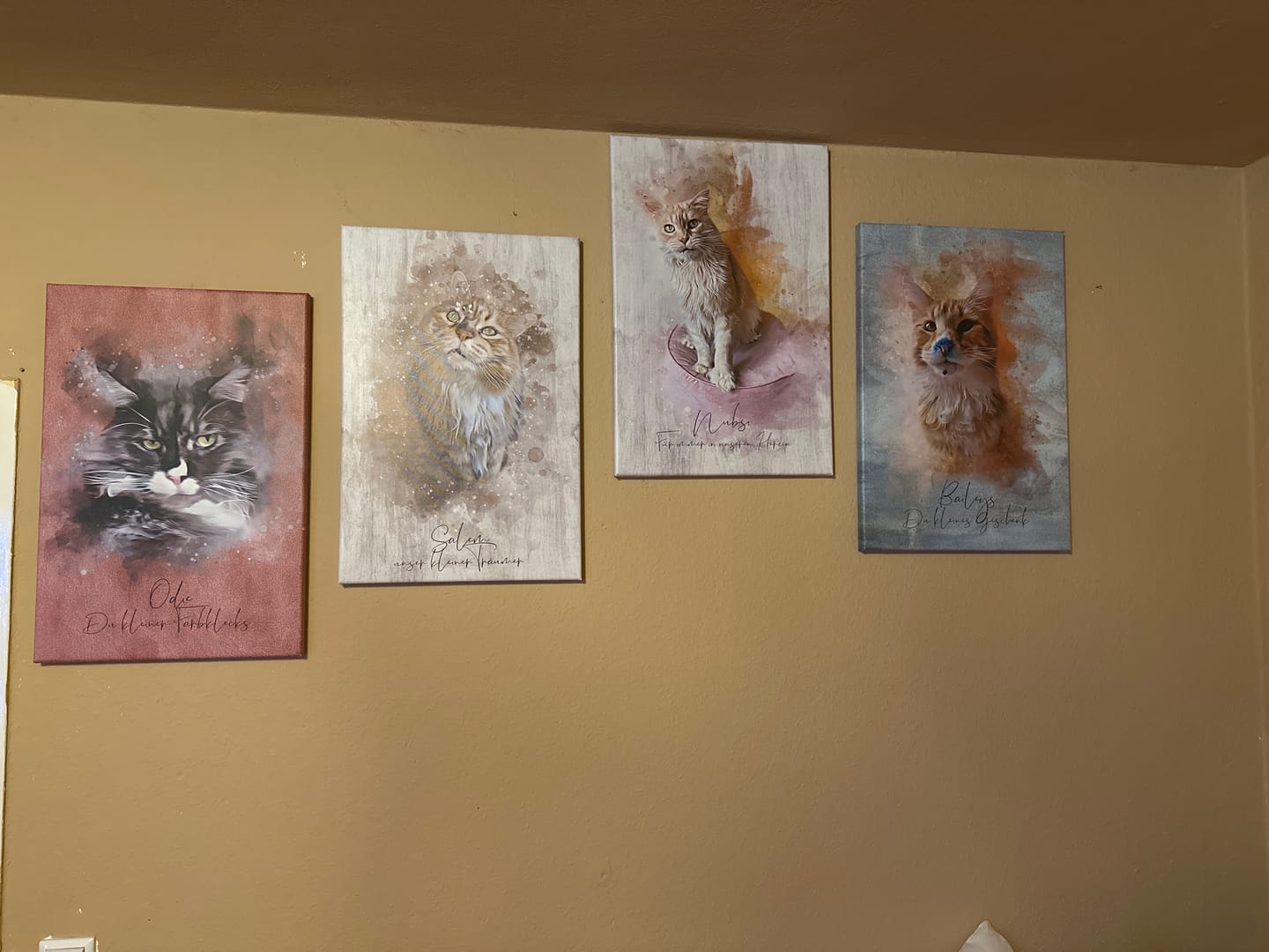 Customer photo review of Deine Katze als Aquarell Tierportrait | Geschenk für Katzenliebhaber