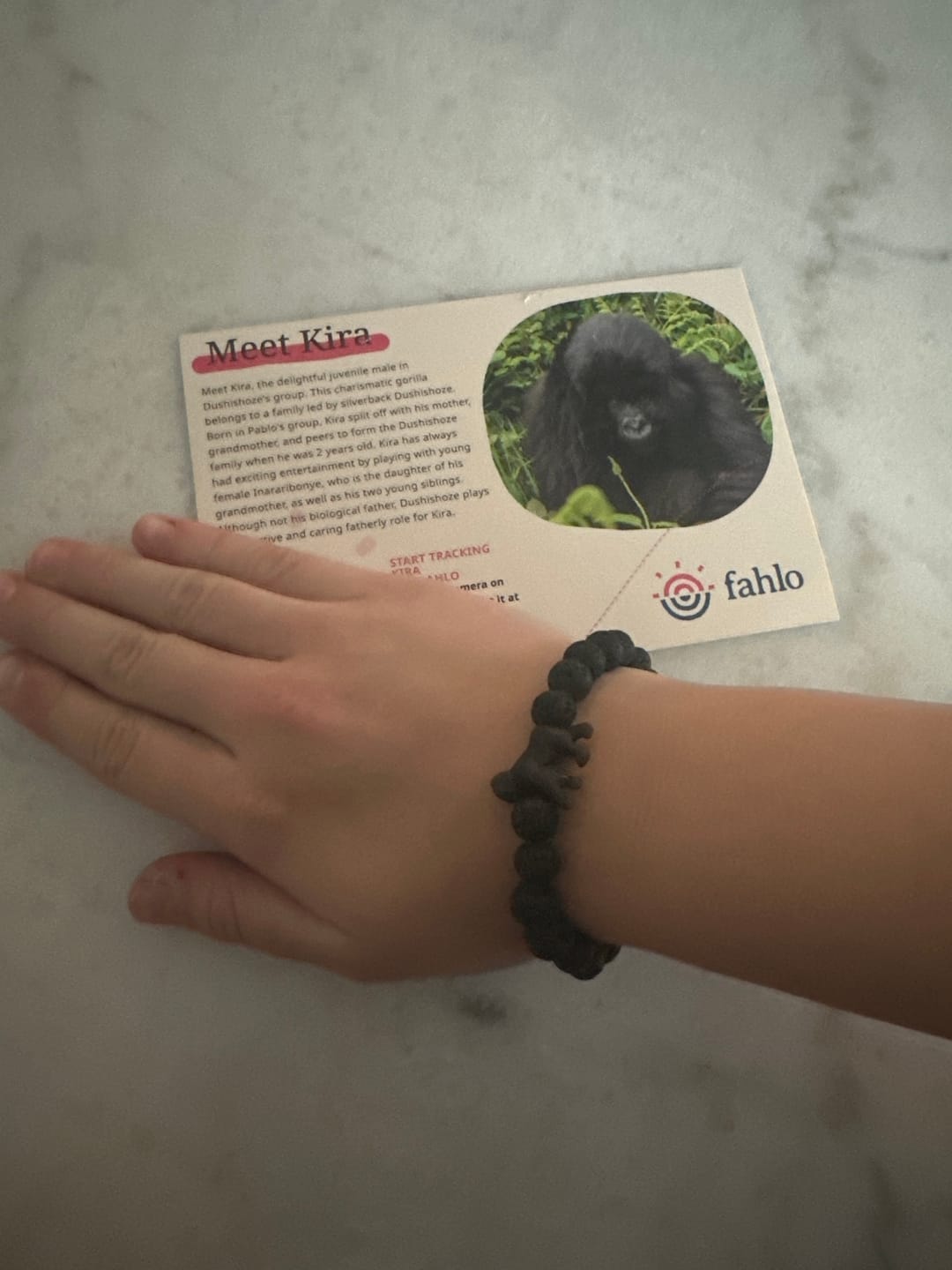 Customer photo review of The Traverse Bracelet