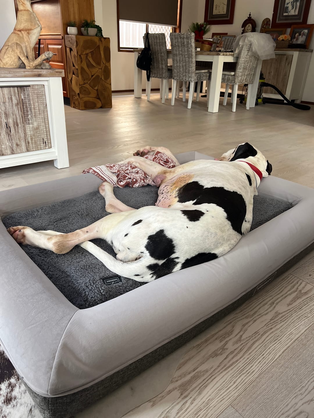Customer photo review of Winter Cover for Kangaroo Bed