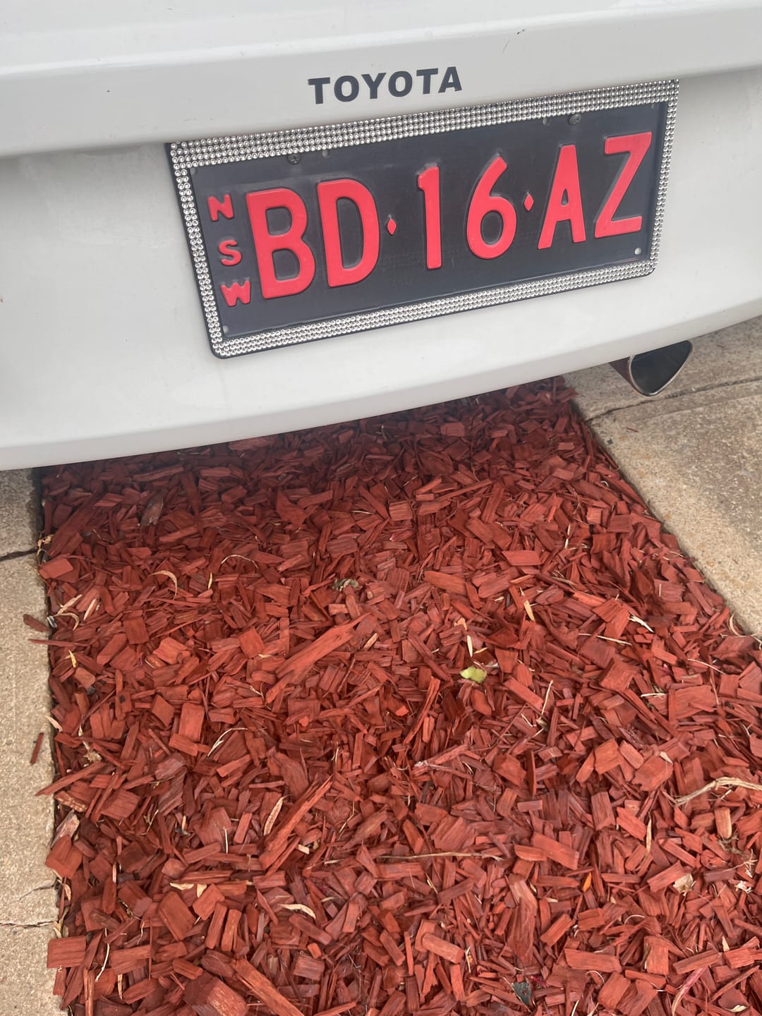 Customer photo review of Bling Number Plate Frames