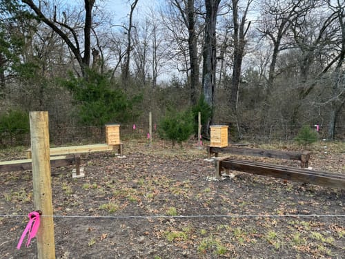 Customer photo review of BeeCastle Hives 10 Frame Wax Coat Complete Beehive Kit:2 Designed Deep Bee Boxes and 1 Super Medium Box,Includes Premium Wooden Frames and Beeswax-Plastic Foundation