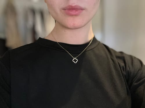 Customer photo review of Kleeblatt Chain