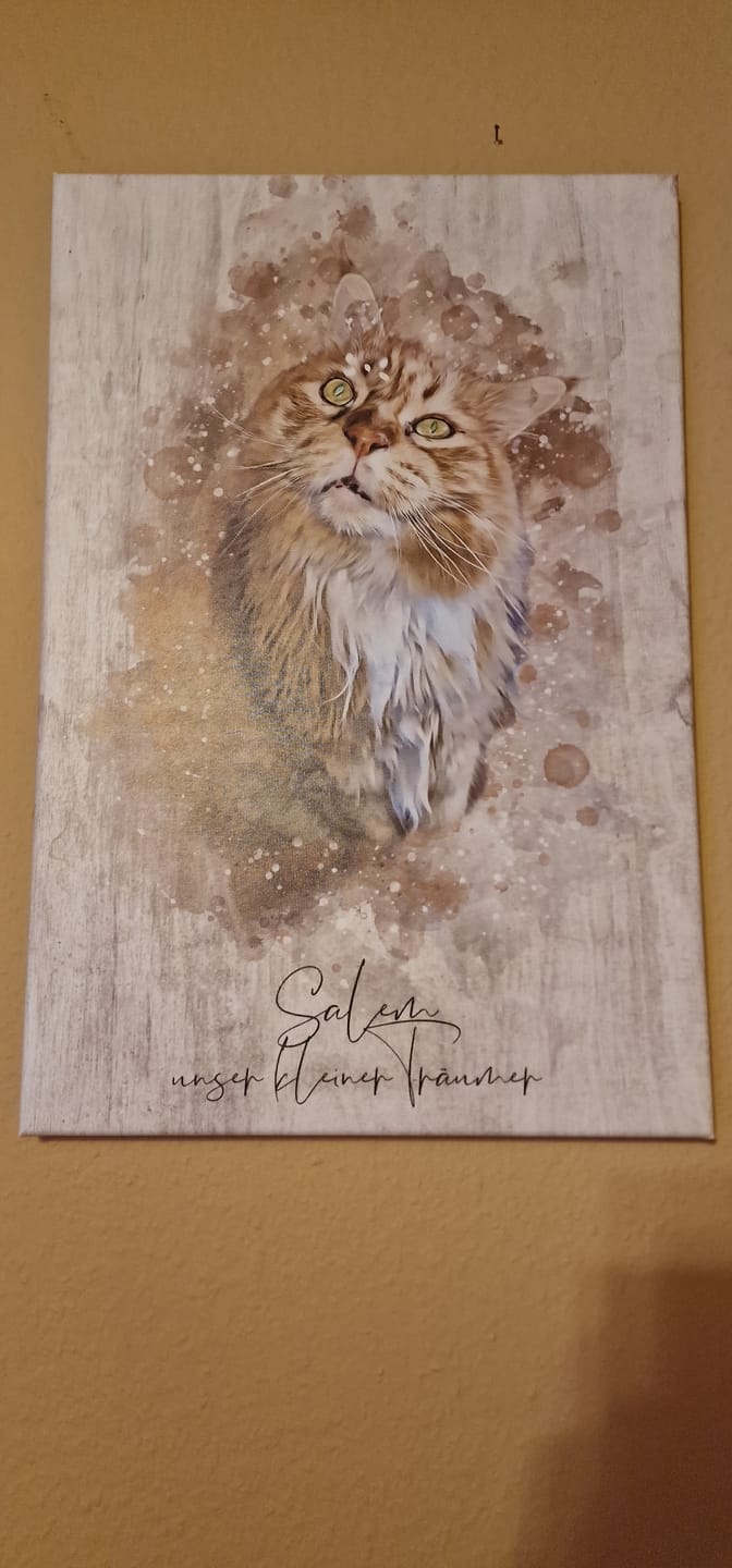 Customer photo review of Deine Katze als Aquarell Tierportrait | Geschenk für Katzenliebhaber