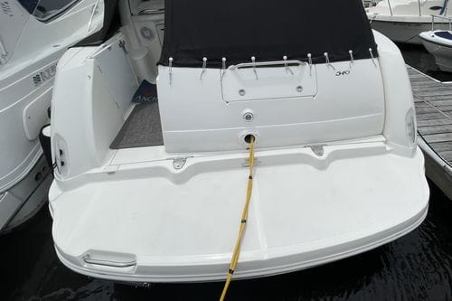 Customer photo review of Heavy Duty Boat Cleaner