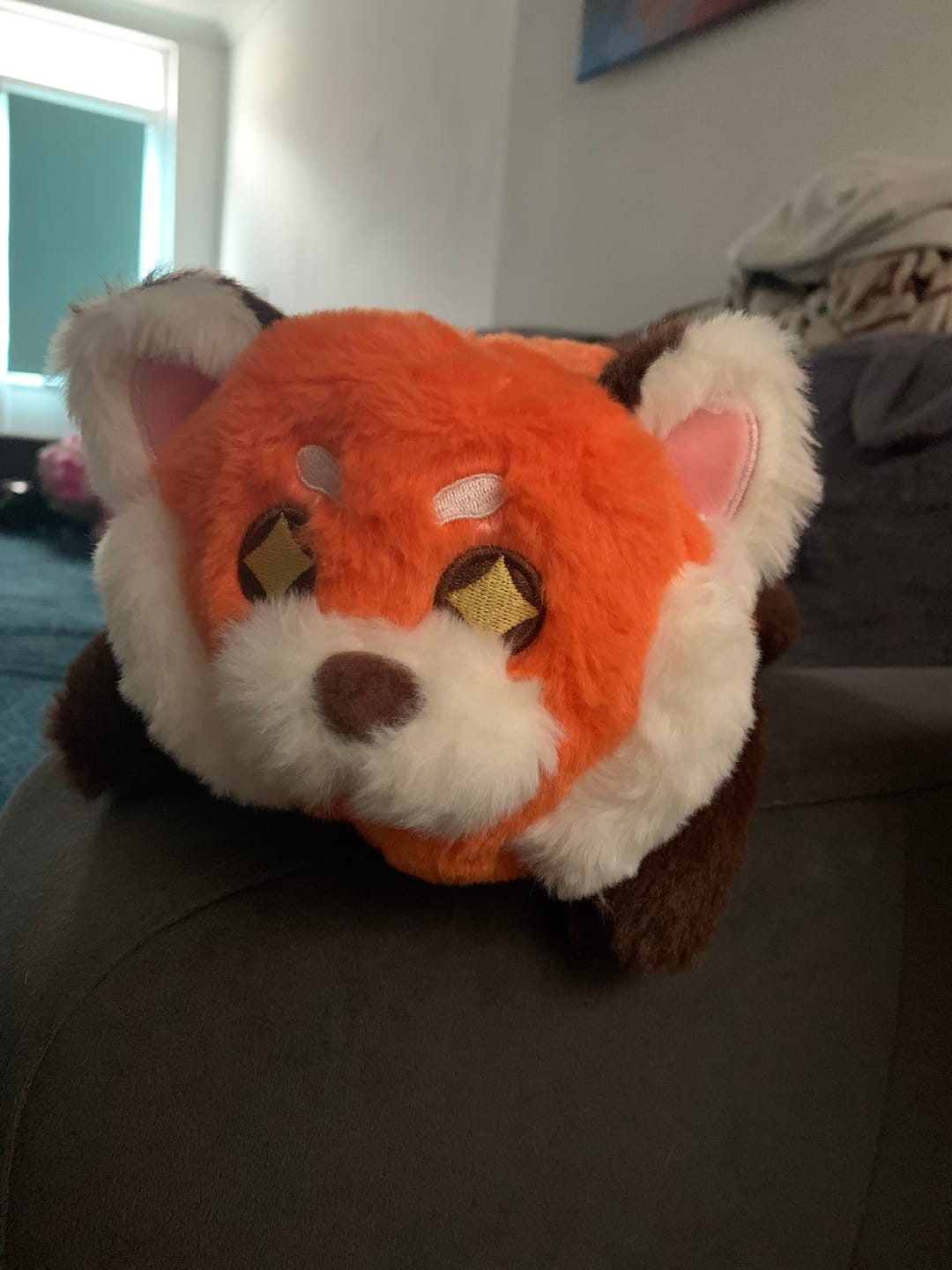 Customer photo review of Star-eyed Red Panda Plush (4 SIZES)