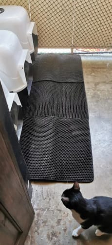 Customer photo review of Cat Litter Mat
