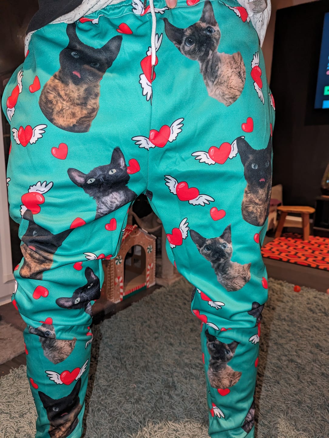 Customer photo review of Custom Your Own Sweatpants With Your Pet Face