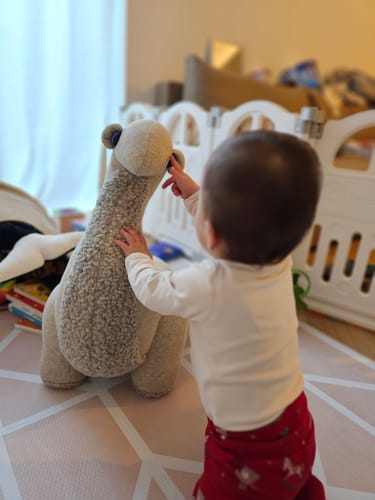 Customer photo review of The Dinosaur