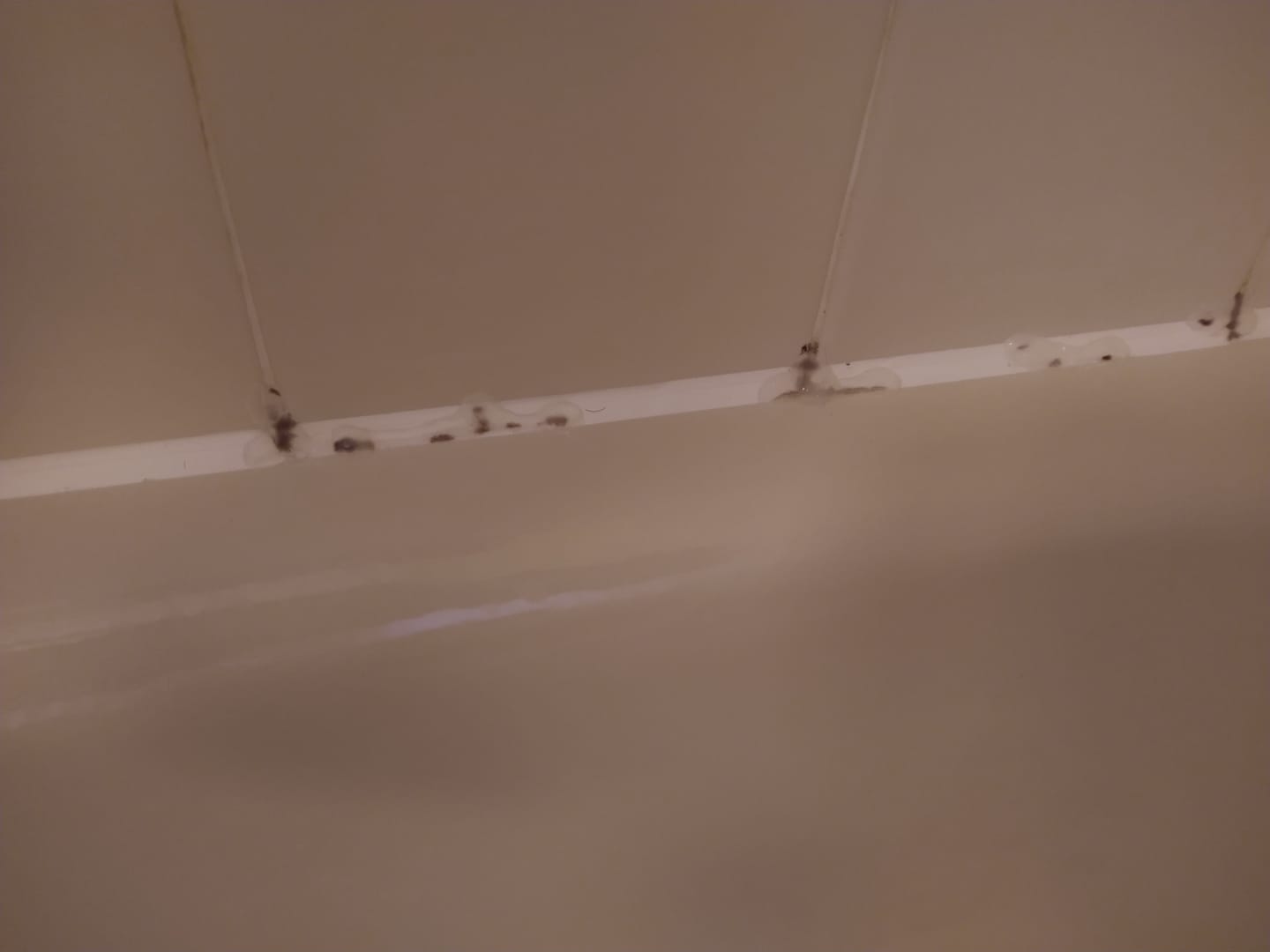 Customer photo review of GLASSGUARD™ Miracle Mold Removal Gel