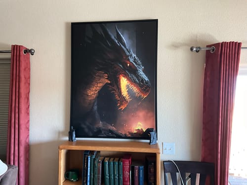 Customer photo review of Smaug