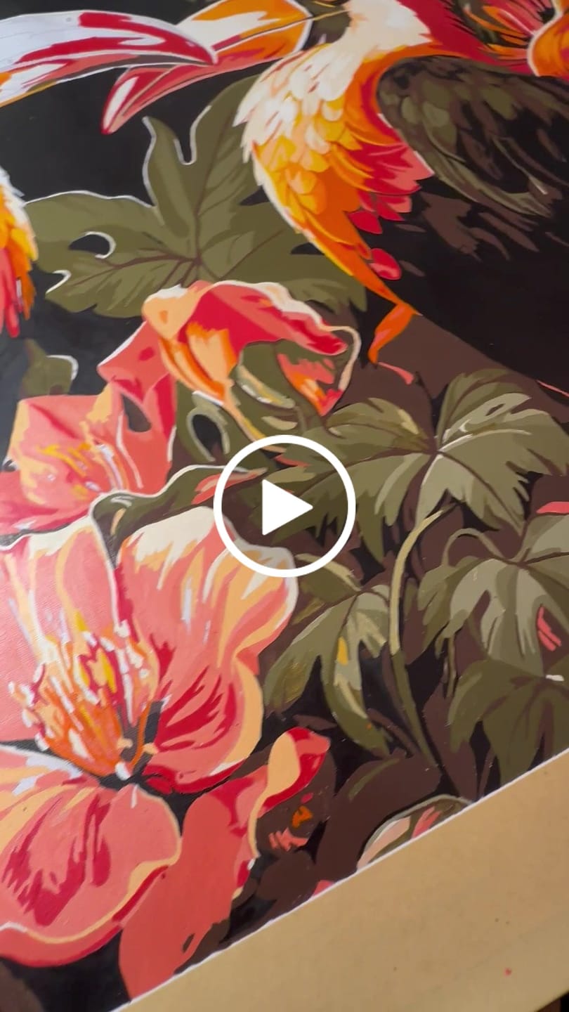 Customer video review of Toucan Rhythm