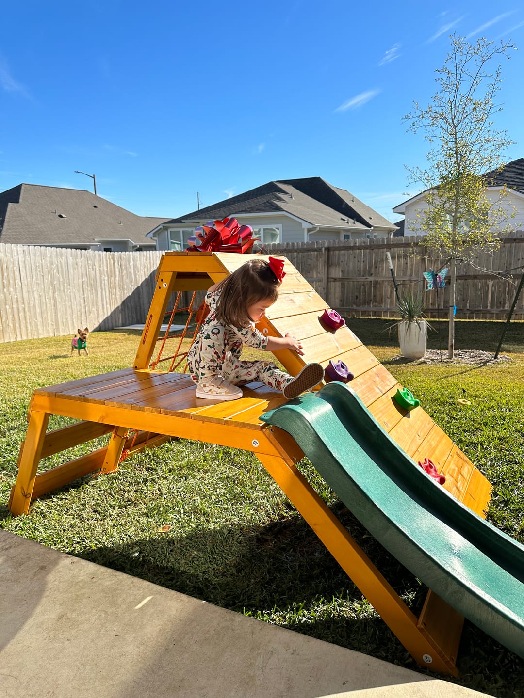 Customer photo review of Palm - 5-in-1 Outdoor and Indoor Playground Playset