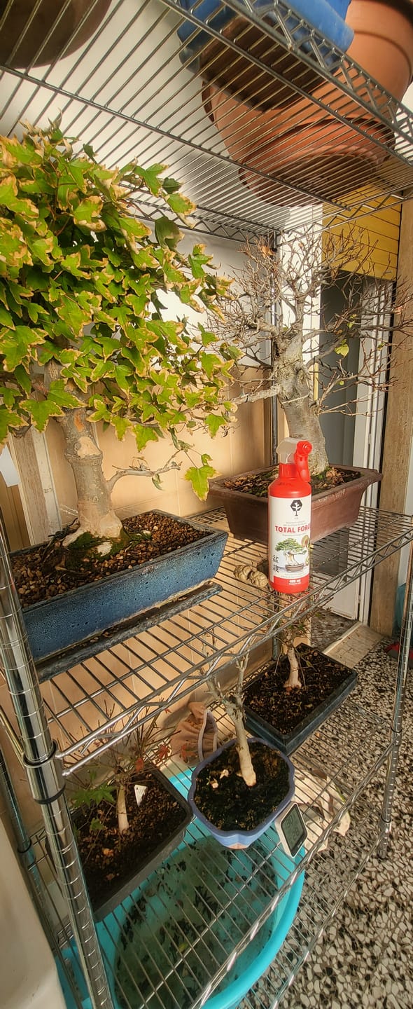 Customer photo review of TOTAL FORCE CB® (AFIDI, COCCINIGLIA, RAGNETTO ROSSO, MAL BIANCO)