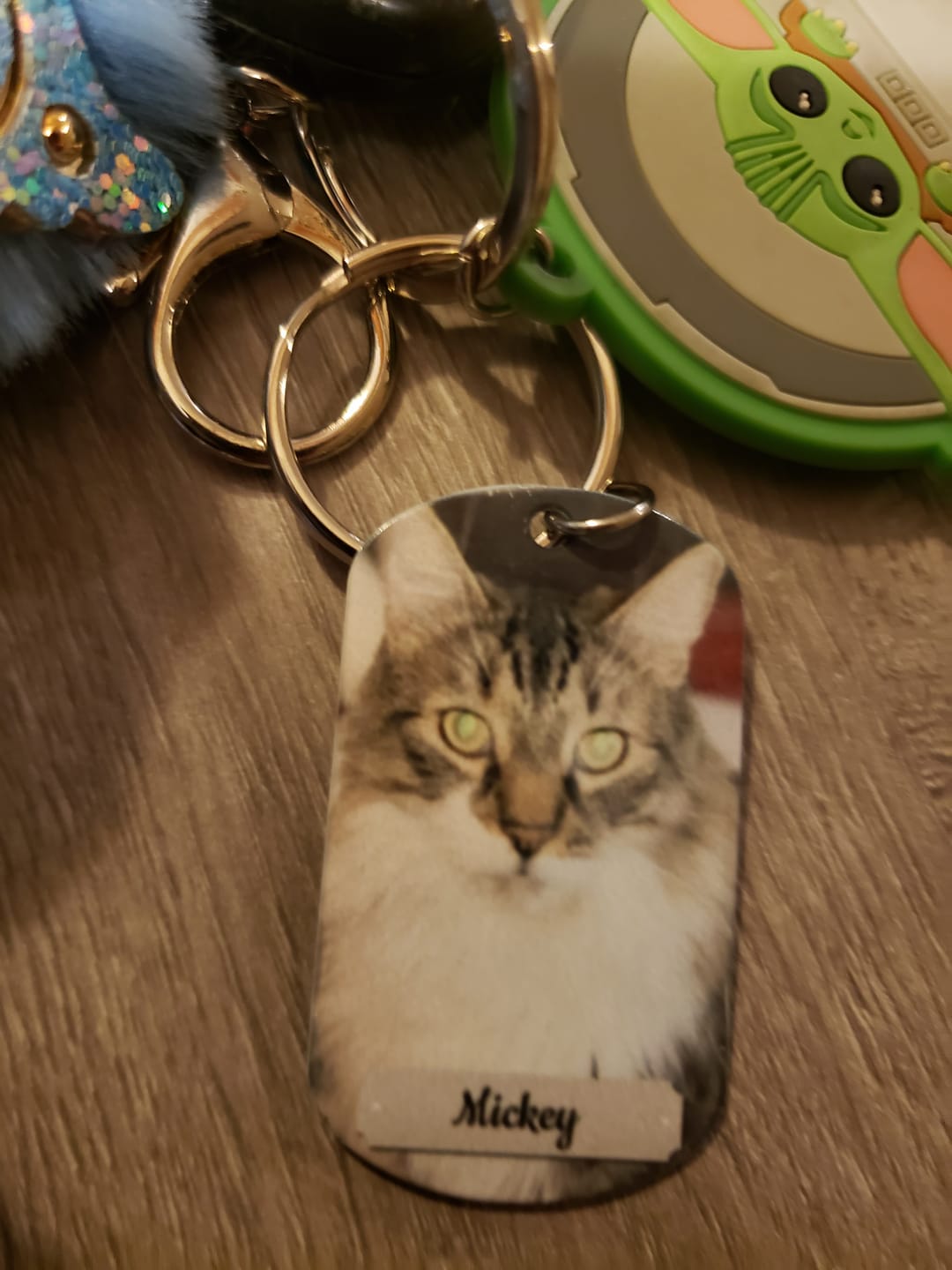 Customer photo review of Photo double face - Porte-clés Dog Tag personnalisé