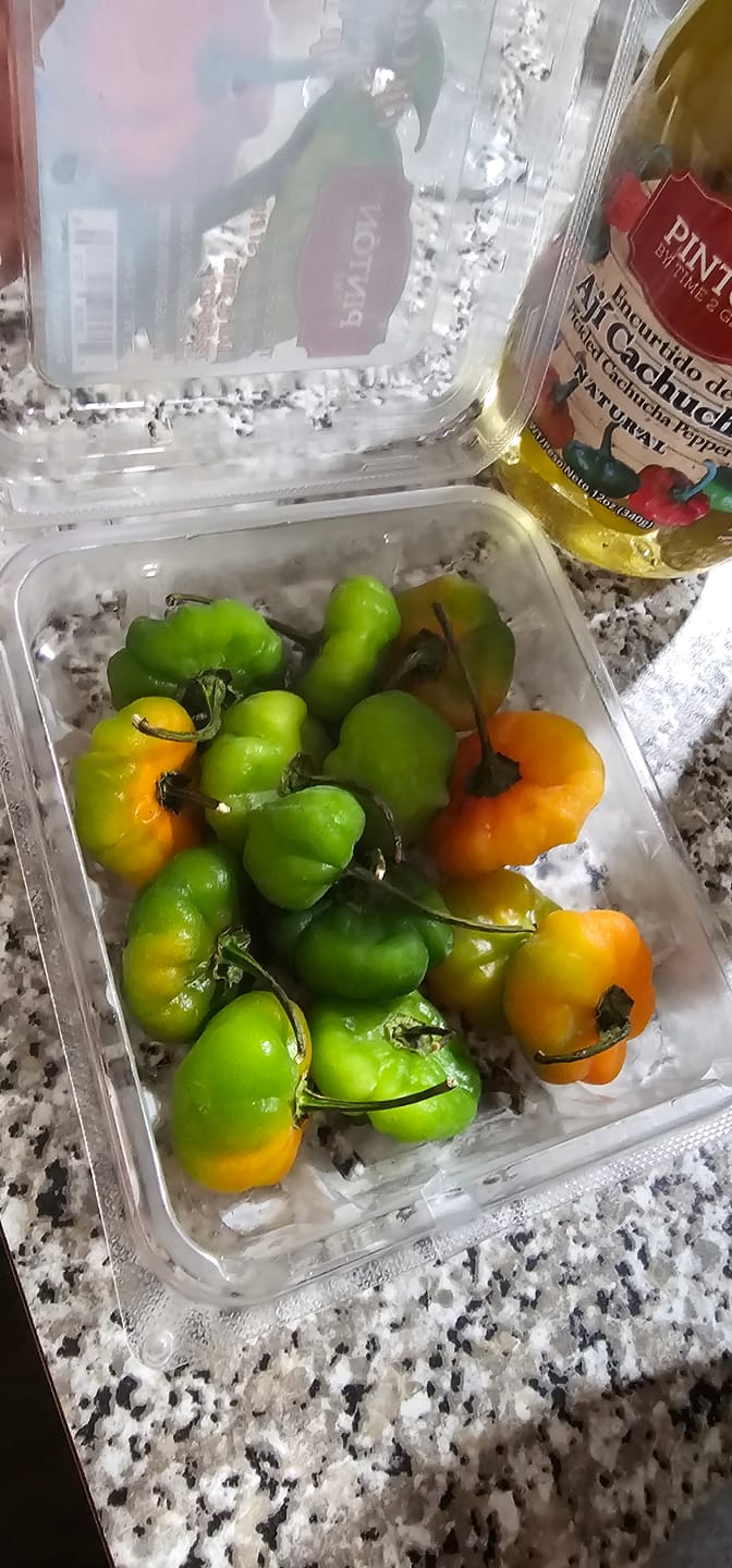 Customer photo review of Ají Cachucha, Ají dulce