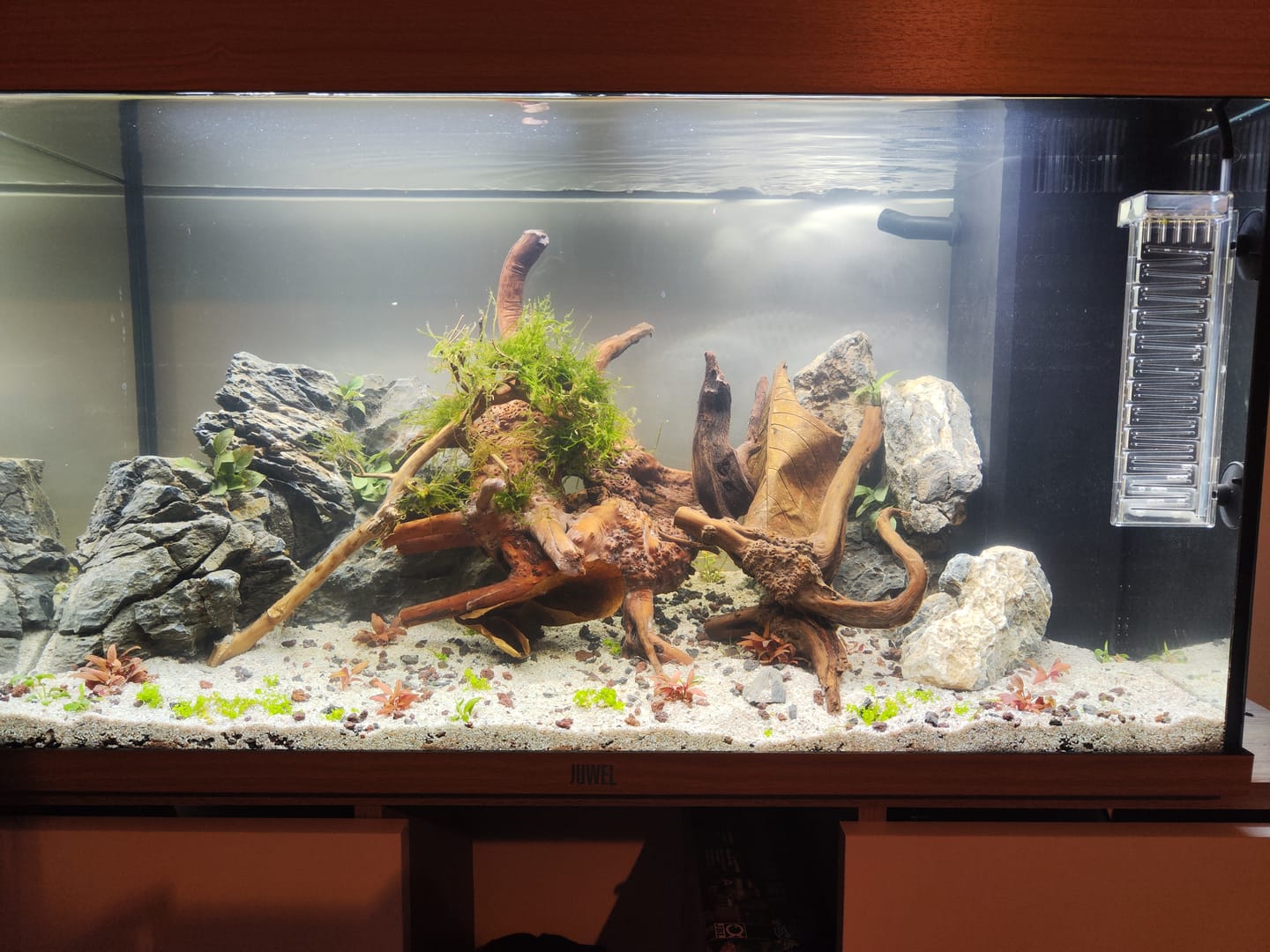 Customer photo review of Aquarium Rio 125 LED Chêne Équipé JUWEL - 125L