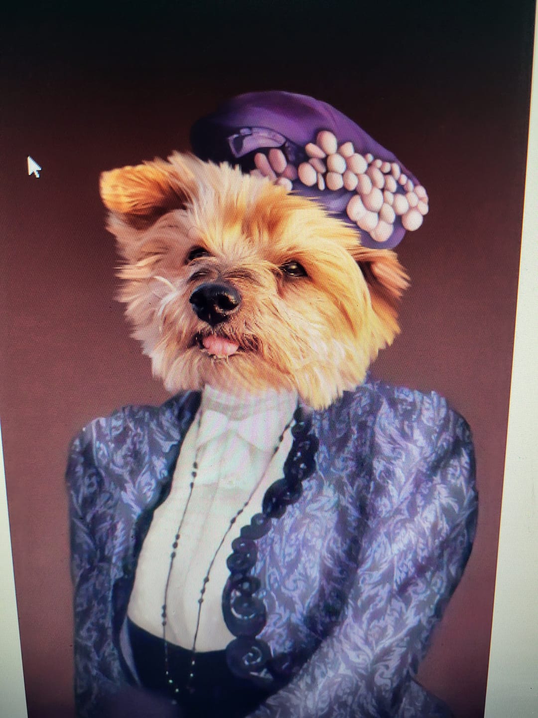 Customer photo review of La Dame en Violet