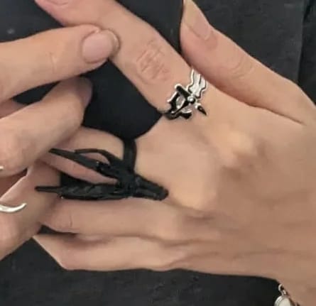 Customer photo review of KIRITO & ASUNA RINGS