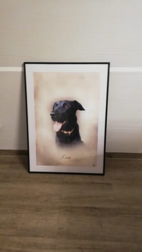 Customer photo review of Öl Pawtrait