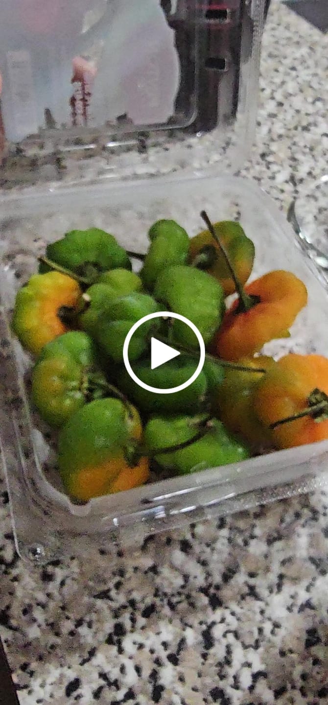 Customer video review of Ají Cachucha, Ají dulce