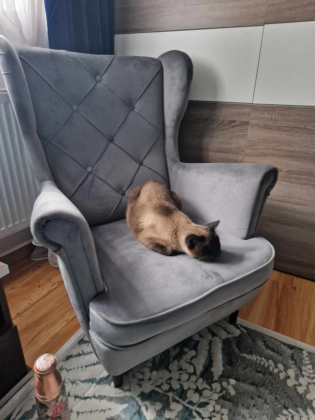 Customer photo review of Fotoliu LADY, stofa catifelata gri - Bluvel 14, 82x92x101 cm