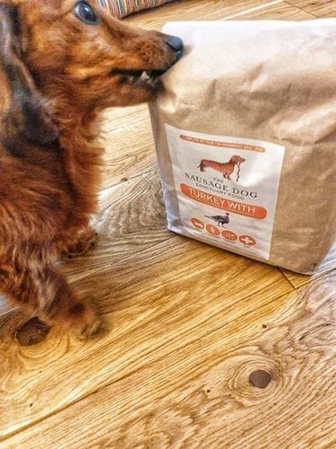Customer photo review of Grain-Free Light Turkey with Sweet Potato & Cranberry