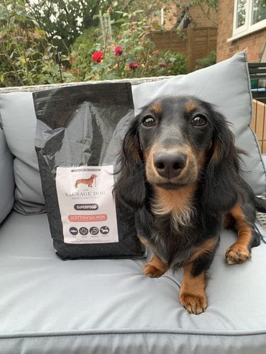 Customer photo review of Grain-Free Light Turkey with Sweet Potato & Cranberry